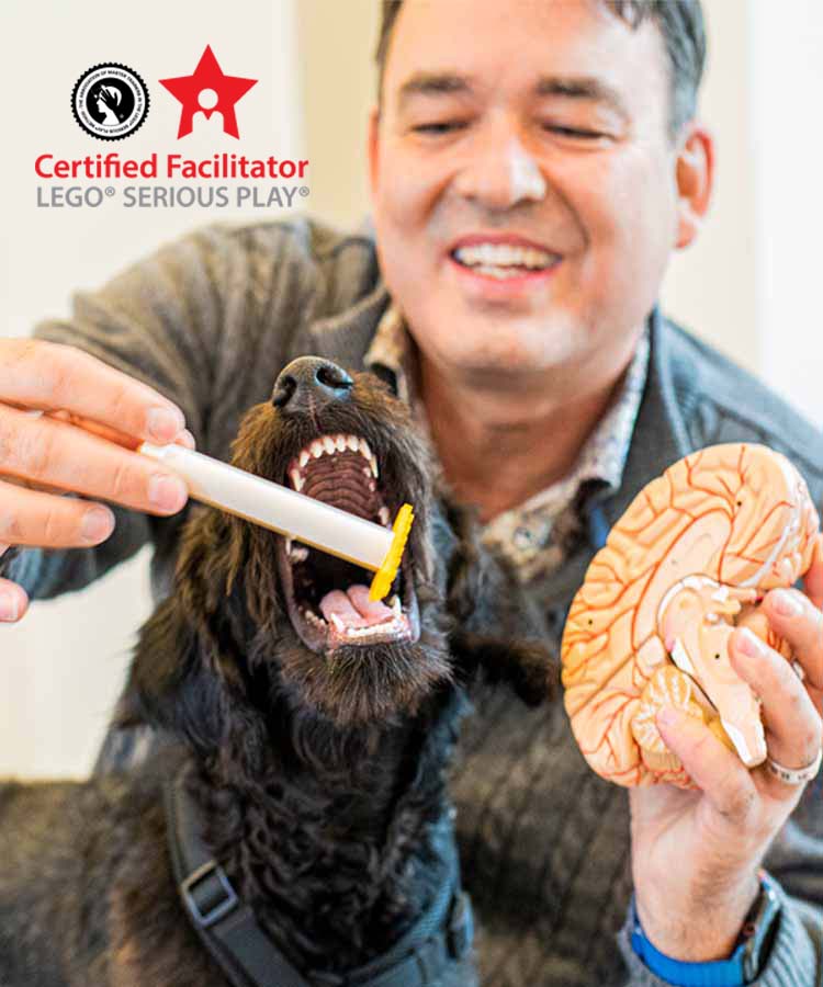 Dr. Johannes Rosenberger